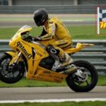 maracas monos moto